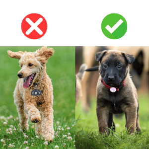 Airtag Dog Collar Holder – Soft Silicone Case for Apple Airtag, Fits Dog & Cat Collars Airtag Dog Collar Holder – Soft Silicone Case for Apple Airtag, Fits Dog & Cat Collars