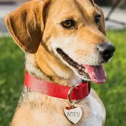 Heart Gold Dog Tag